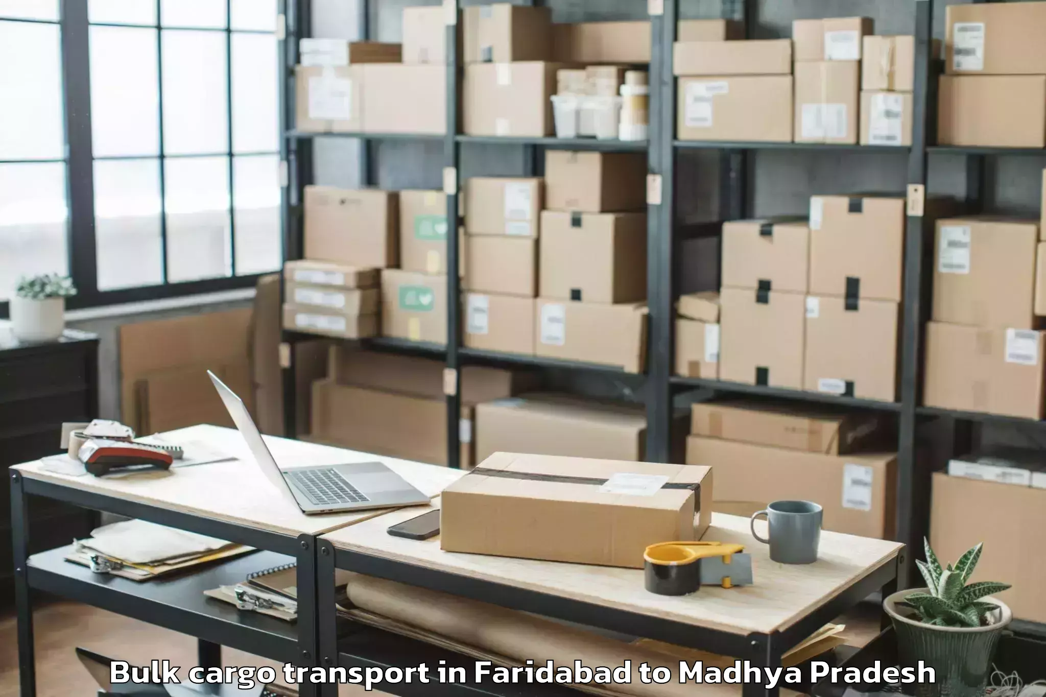 Professional Faridabad to Damoh Bulk Cargo Transport